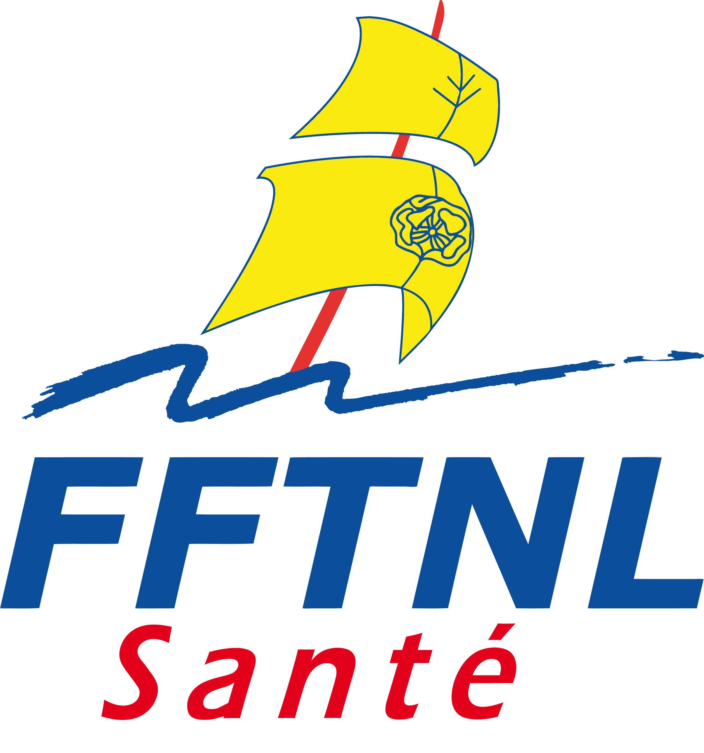 logo fftnl sante